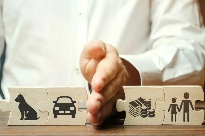 Международный спор о разделе имущества: ключевые аспекты