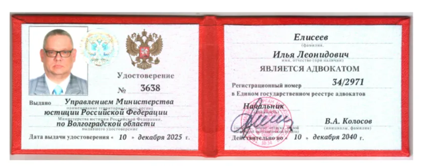 Елисеев Илья Леонидович